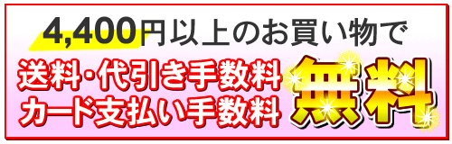 送料・代引手数料・カード支払い手数料無料